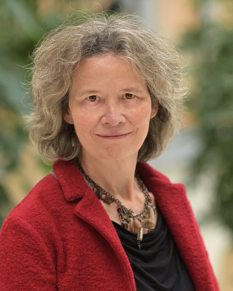 Prof. dr. Sabine Linn